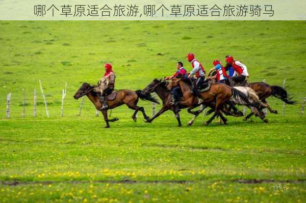 哪个草原适合旅游,哪个草原适合旅游骑马-第3张图片-九五旅游网