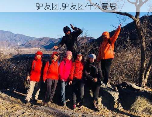 驴友团,驴友团什么意思-第3张图片-九五旅游网