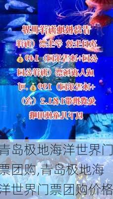 青岛极地海洋世界门票团购,青岛极地海洋世界门票团购价格-第2张图片-九五旅游网