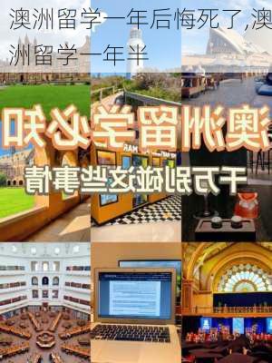 澳洲留学一年后悔死了,澳洲留学一年半-第2张图片-九五旅游网