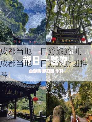 成都当地一日游旅游团,成都当地一日游旅游团推荐-第3张图片-九五旅游网