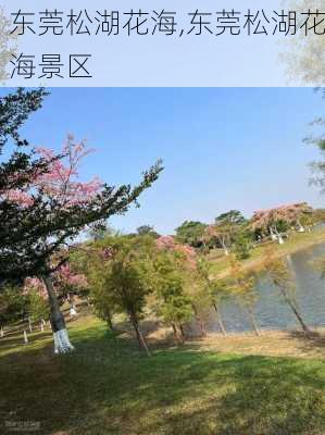 东莞松湖花海,东莞松湖花海景区-第1张图片-九五旅游网