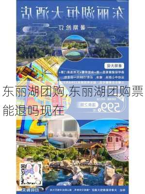 东丽湖团购,东丽湖团购票能退吗现在-第1张图片-九五旅游网