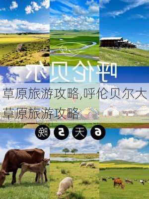 草原旅游攻略,呼伦贝尔大草原旅游攻略-第3张图片-九五旅游网