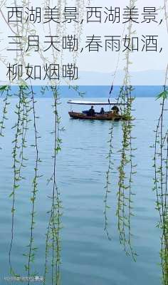 西湖美景,西湖美景,三月天嘞,春雨如酒,柳如烟嘞-第2张图片-九五旅游网