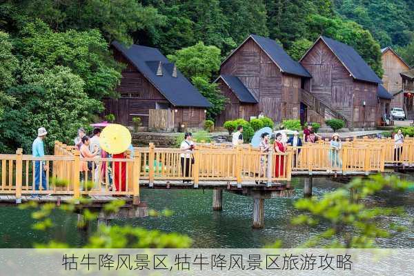 牯牛降风景区,牯牛降风景区旅游攻略-第1张图片-九五旅游网