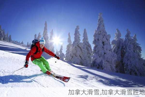 加拿大滑雪,加拿大滑雪胜地