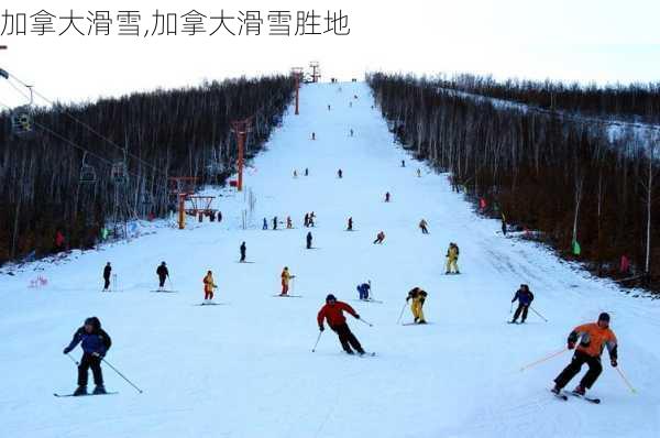 加拿大滑雪,加拿大滑雪胜地-第2张图片-九五旅游网