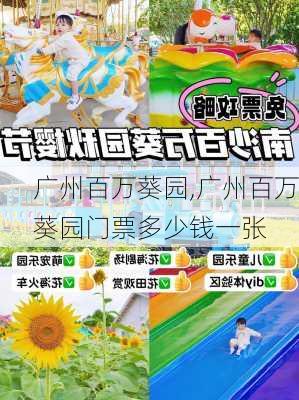 广州百万葵园,广州百万葵园门票多少钱一张-第3张图片-九五旅游网