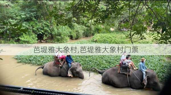 芭堤雅大象村,芭堤雅大象村门票-第1张图片-九五旅游网