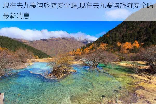 现在去九寨沟旅游安全吗,现在去九寨沟旅游安全吗最新消息-第2张图片-九五旅游网