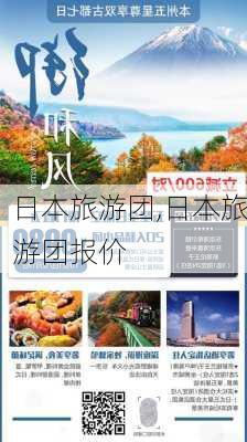 日本旅游团,日本旅游团报价-第3张图片-九五旅游网