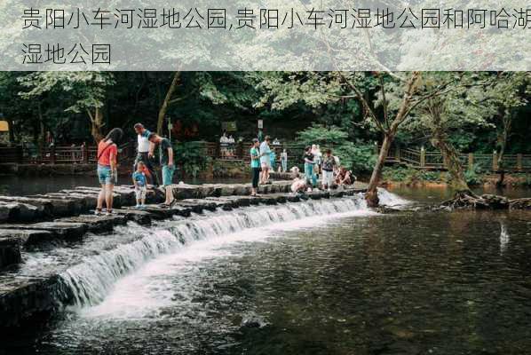 贵阳小车河湿地公园,贵阳小车河湿地公园和阿哈湖湿地公园