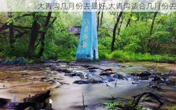 大青沟几月份去最好,大青沟适合几月份去-第3张图片-九五旅游网