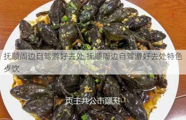 抚顺周边自驾游好去处,抚顺周边自驾游好去处特色歺饮-第3张图片-九五旅游网