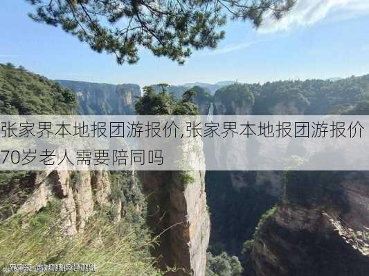 张家界本地报团游报价,张家界本地报团游报价70岁老人需要陪同吗-第2张图片-九五旅游网