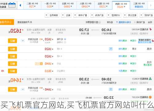 买飞机票官方网站,买飞机票官方网站叫什么-第2张图片-九五旅游网