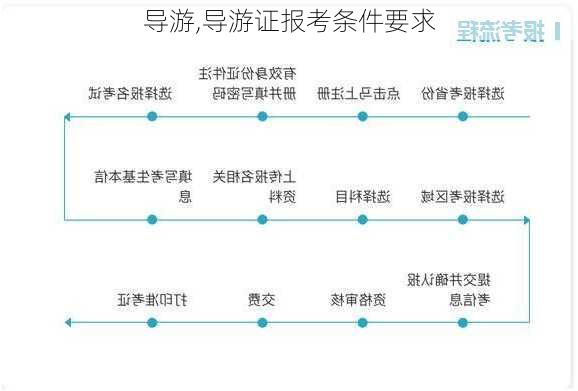 导游,导游证报考条件要求-第1张图片-九五旅游网