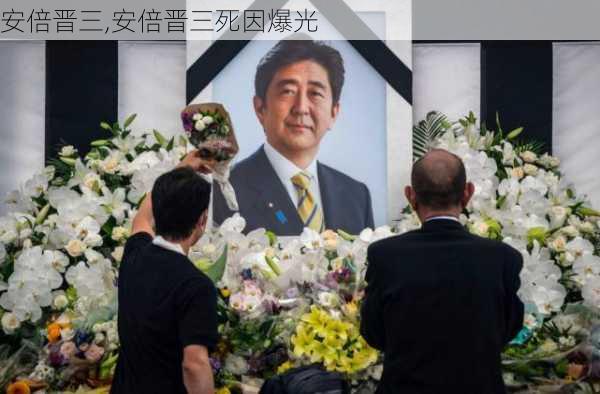 安倍晋三,安倍晋三死因爆光-第3张图片-九五旅游网