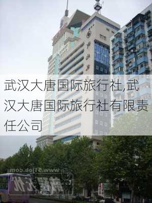 武汉大唐国际旅行社,武汉大唐国际旅行社有限责任公司-第2张图片-九五旅游网