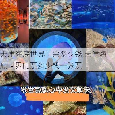 天津海底世界门票多少钱,天津海底世界门票多少钱一张票-第1张图片-九五旅游网