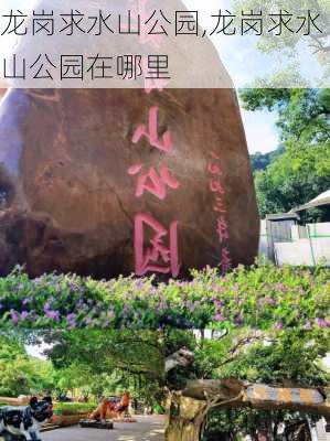 龙岗求水山公园,龙岗求水山公园在哪里