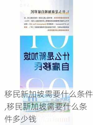 移民新加坡需要什么条件,移民新加坡需要什么条件多少钱-第1张图片-九五旅游网