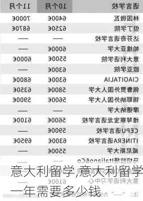 意大利留学,意大利留学一年需要多少钱-第3张图片-九五旅游网