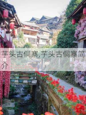 芋头古侗寨,芋头古侗寨简介-第1张图片-九五旅游网