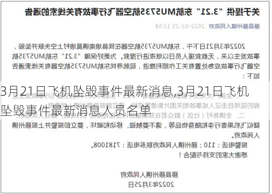 3月21日飞机坠毁事件最新消息,3月21日飞机坠毁事件最新消息人员名单-第2张图片-九五旅游网