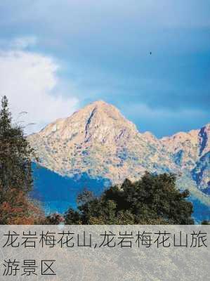 龙岩梅花山,龙岩梅花山旅游景区-第2张图片-九五旅游网