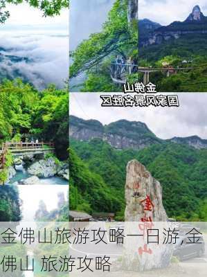 金佛山旅游攻略一日游,金佛山 旅游攻略-第1张图片-九五旅游网