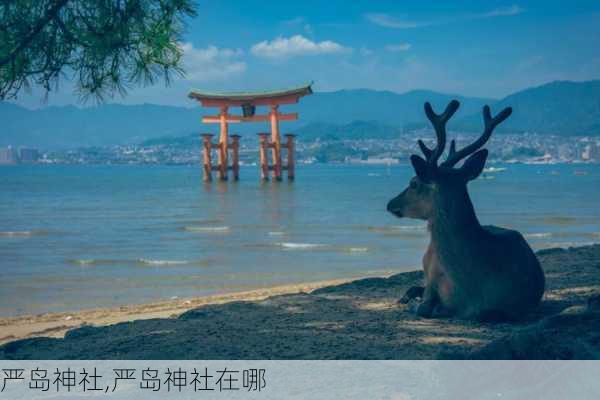 严岛神社,严岛神社在哪-第3张图片-九五旅游网