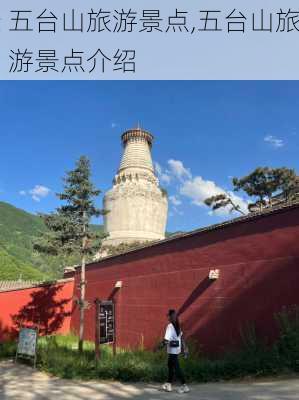 五台山旅游景点,五台山旅游景点介绍-第1张图片-九五旅游网