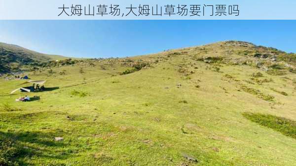 大姆山草场,大姆山草场要门票吗