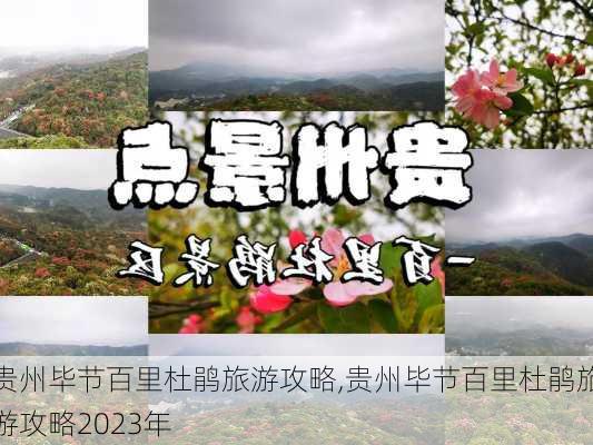 贵州毕节百里杜鹃旅游攻略,贵州毕节百里杜鹃旅游攻略2023年-第2张图片-九五旅游网