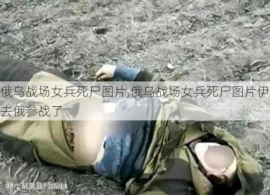 俄乌战场女兵死尸图片,俄乌战场女兵死尸图片伊去俄参战了-第1张图片-九五旅游网