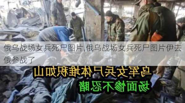 俄乌战场女兵死尸图片,俄乌战场女兵死尸图片伊去俄参战了-第3张图片-九五旅游网