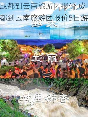 成都到云南旅游团报价,成都到云南旅游团报价5日游-第3张图片-九五旅游网