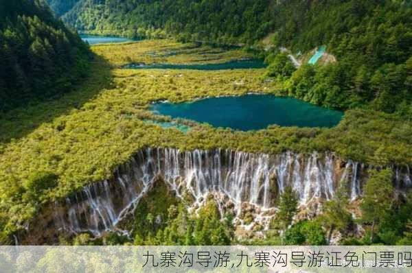 九寨沟导游,九寨沟导游证免门票吗-第1张图片-九五旅游网