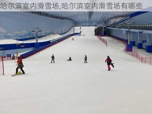 哈尔滨室内滑雪场,哈尔滨室内滑雪场有哪些-第2张图片-九五旅游网