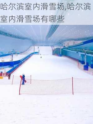 哈尔滨室内滑雪场,哈尔滨室内滑雪场有哪些-第3张图片-九五旅游网