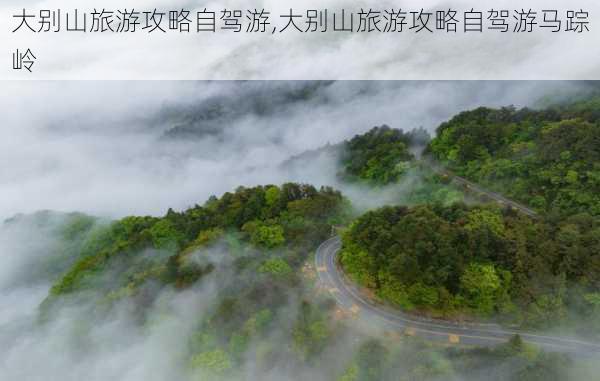 大别山旅游攻略自驾游,大别山旅游攻略自驾游马踪岭