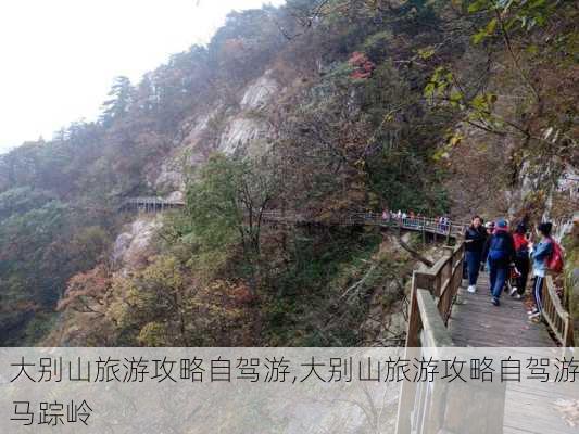 大别山旅游攻略自驾游,大别山旅游攻略自驾游马踪岭-第3张图片-九五旅游网