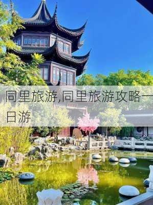 同里旅游,同里旅游攻略一日游-第2张图片-九五旅游网