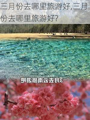 三月份去哪里旅游好,三月份去哪里旅游好?-第2张图片-九五旅游网