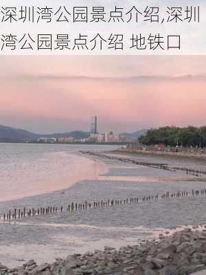 深圳湾公园景点介绍,深圳湾公园景点介绍 地铁口-第1张图片-九五旅游网