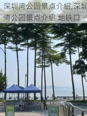 深圳湾公园景点介绍,深圳湾公园景点介绍 地铁口-第2张图片-九五旅游网