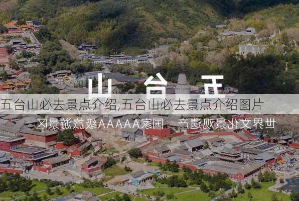 五台山必去景点介绍,五台山必去景点介绍图片-第2张图片-九五旅游网