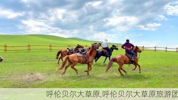 呼伦贝尔大草原,呼伦贝尔大草原旅游团-第3张图片-九五旅游网